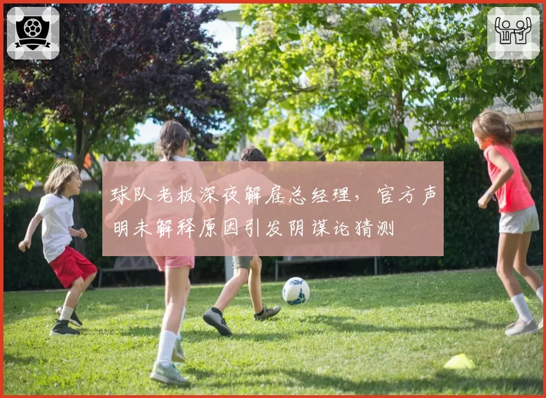 球队老板深夜解雇总经理,官方声明未解释原因引发阴谋论猜测