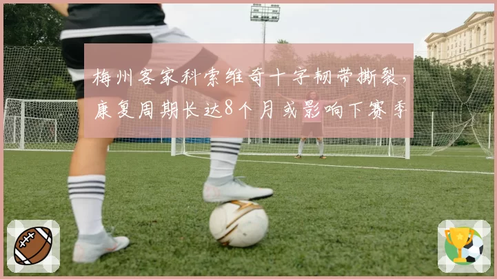 梅州客家科索维奇十字韧带撕裂，康复周期长达8个月或影响下赛季